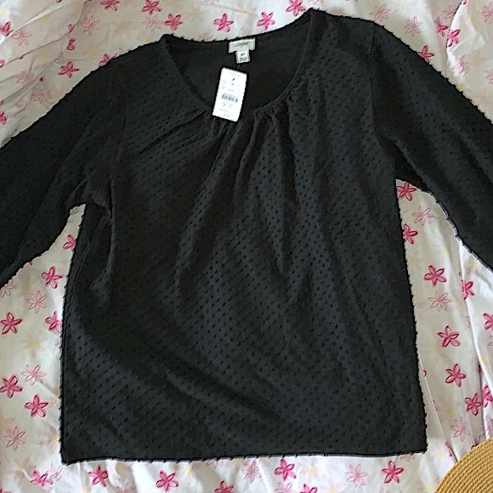 NWT J. Crew Factory Poet- sleeve Clip Dot Top